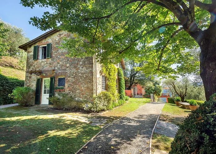 Igea By Salogi Mastiano