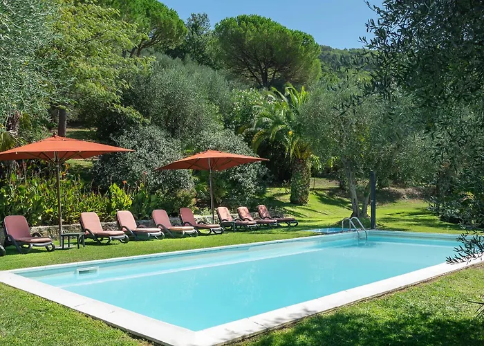 Igea By Salogi Mastiano